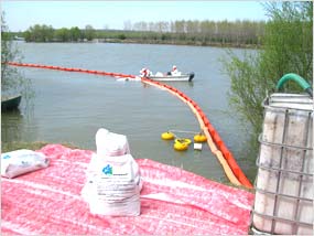 reconstructie ecologica