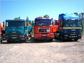 reconstructie ecologica